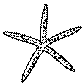 Starfish Logo - black