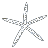 Starfish-Logo-gray4.gif