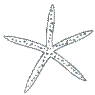 Starfish Logo - gray